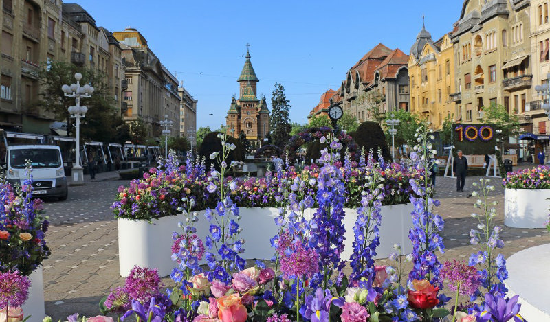 timisoara aniversario